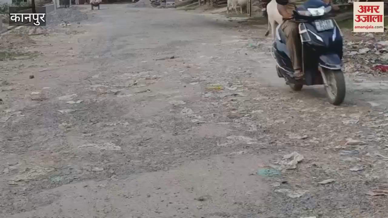 dilapidated condition of the road leading to Ratanpur Old Age Home