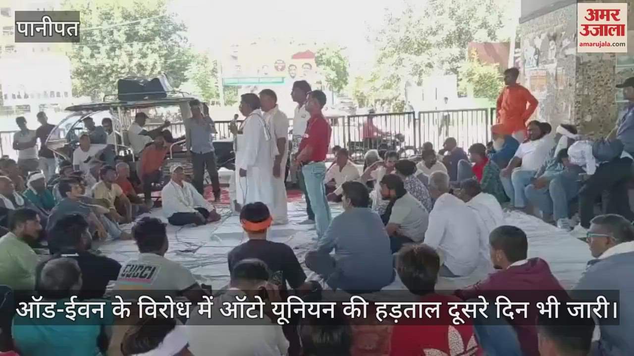 Auto union strike continues for second day in protest against odd-even scheme