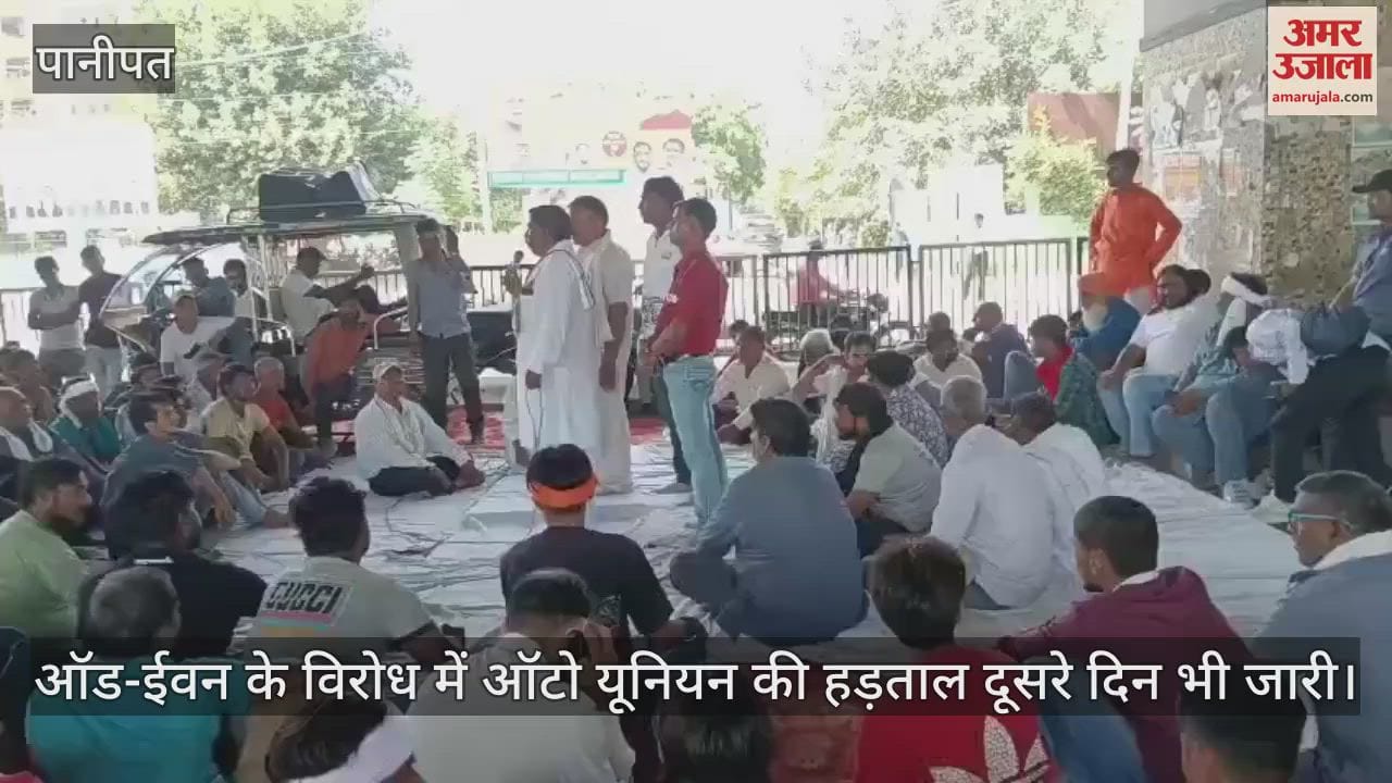 Auto union strike continues for second day in protest against odd-even scheme