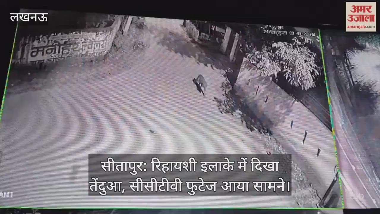 सीतापुर: रिहायशी इलाके में दिखा तेंदुआ, सीसीटीवी फुटेज आया सामने