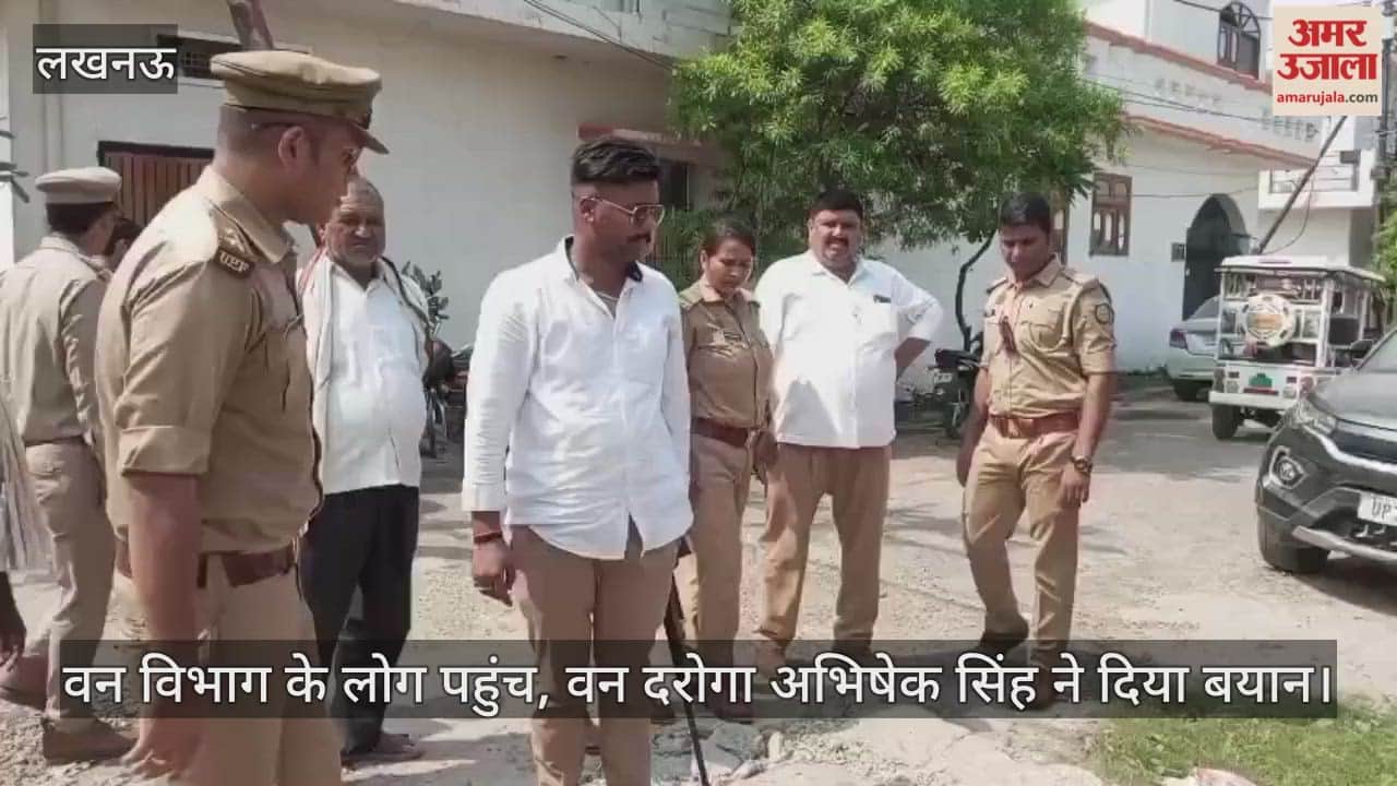VIDEO: लखनऊ के रुचिखंड इलाके में देखा गया तेंदुआ, लोगों में डर का माहौल