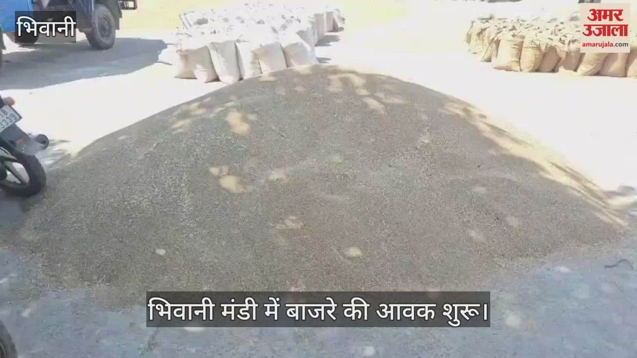 Millet arrival begins in Bhiwani Mandi