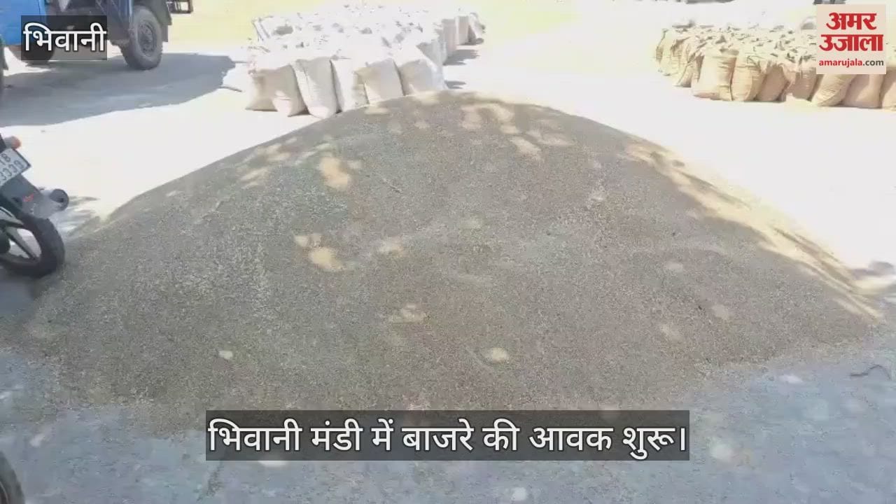 Millet arrival begins in Bhiwani Mandi