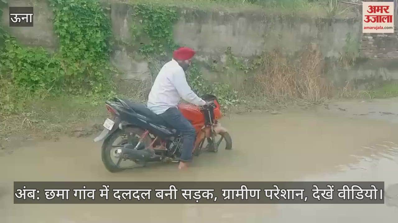 Amb: Road turns into swamp in Chhama village, villagers troubled, watch video