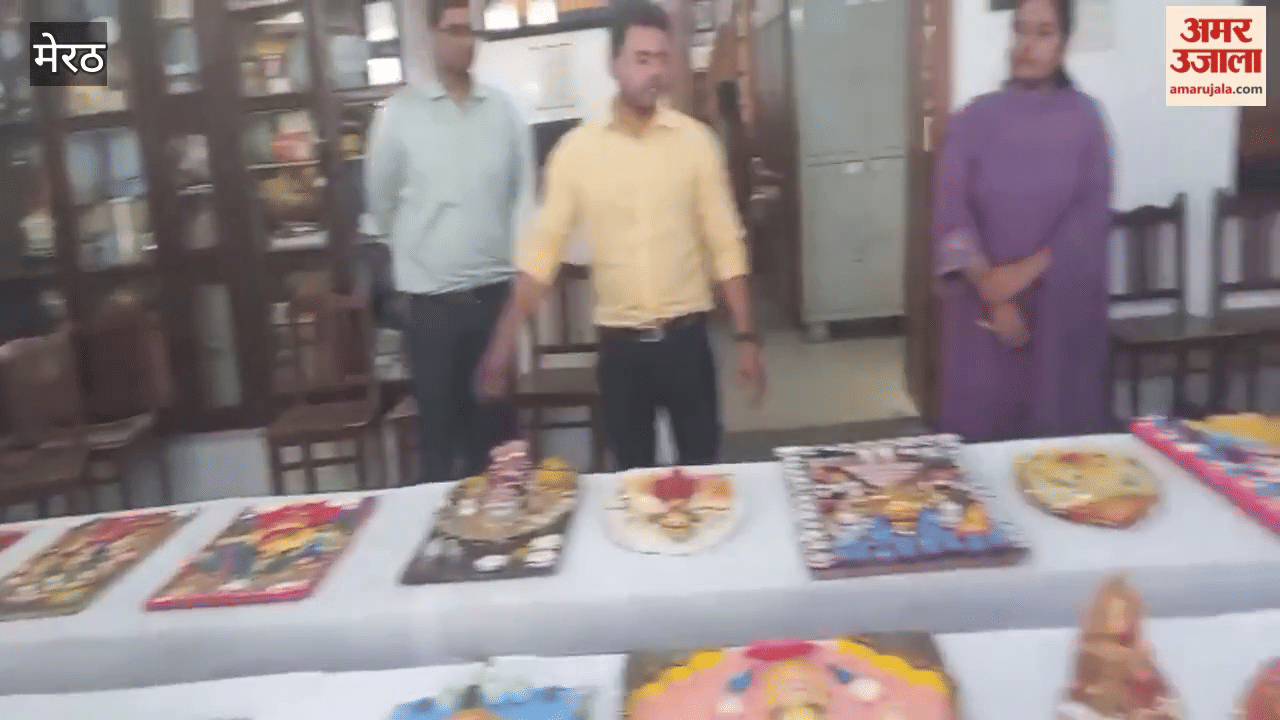 Meerut: Drawn exhibition organized in RG College