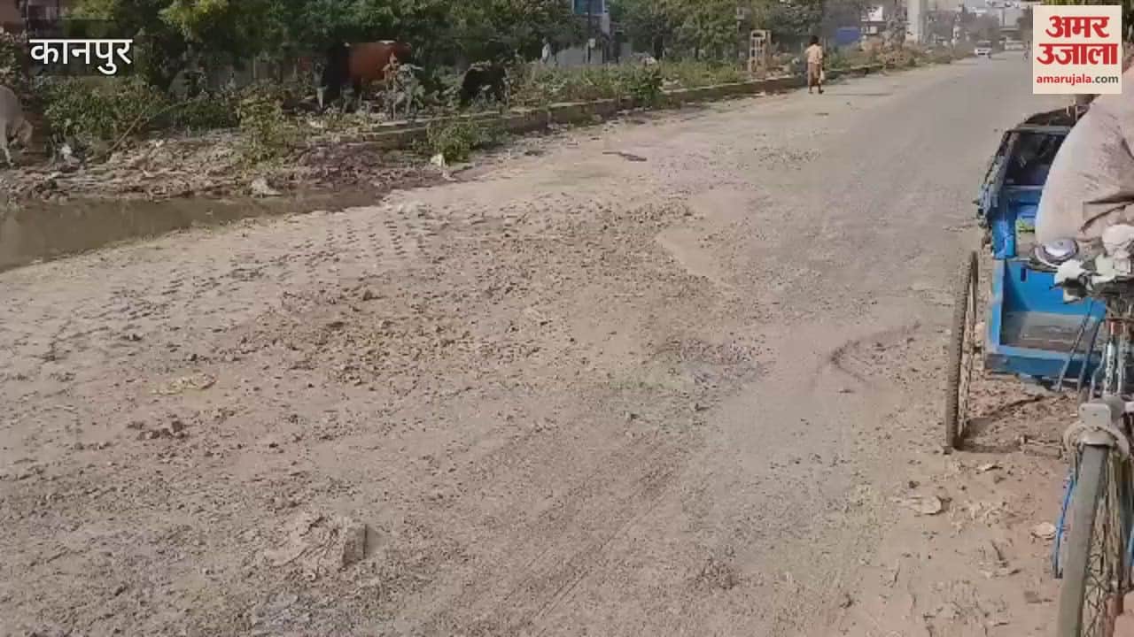 dilapidated condition of the road in Satyam Vihar, Awas Vikas