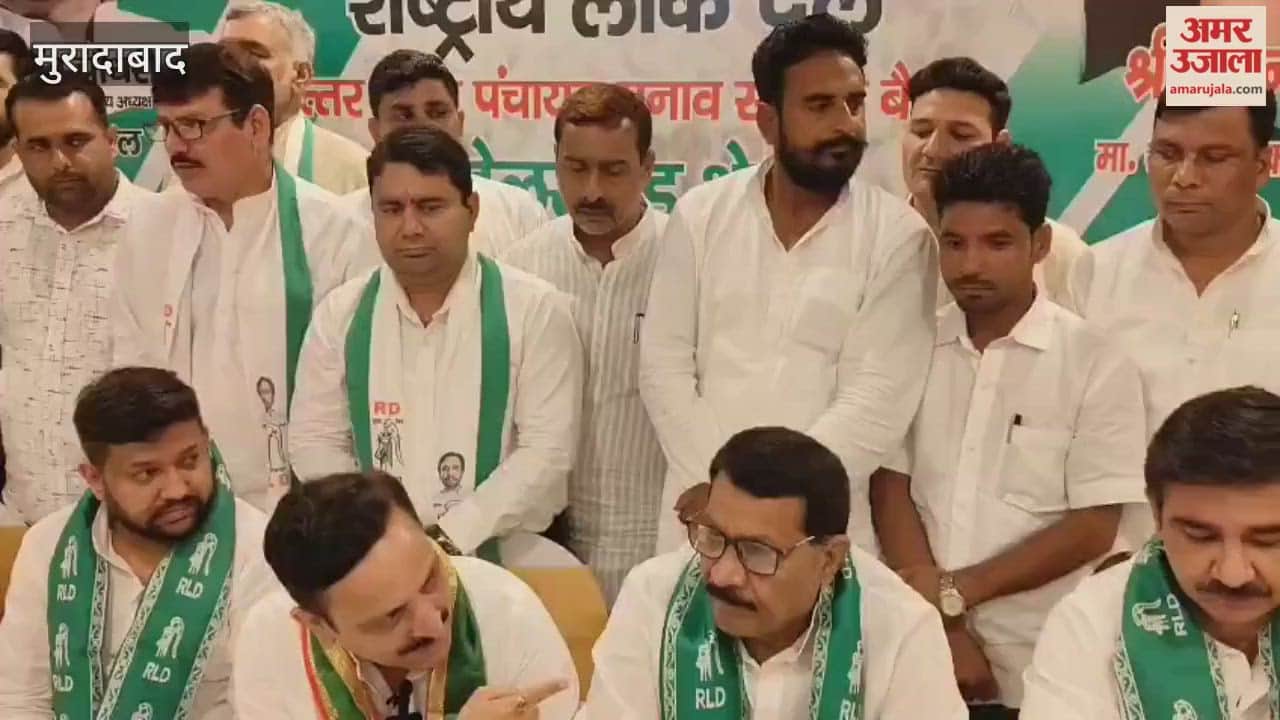 RLD will contest the panchayat elections on its own: Ujjwal