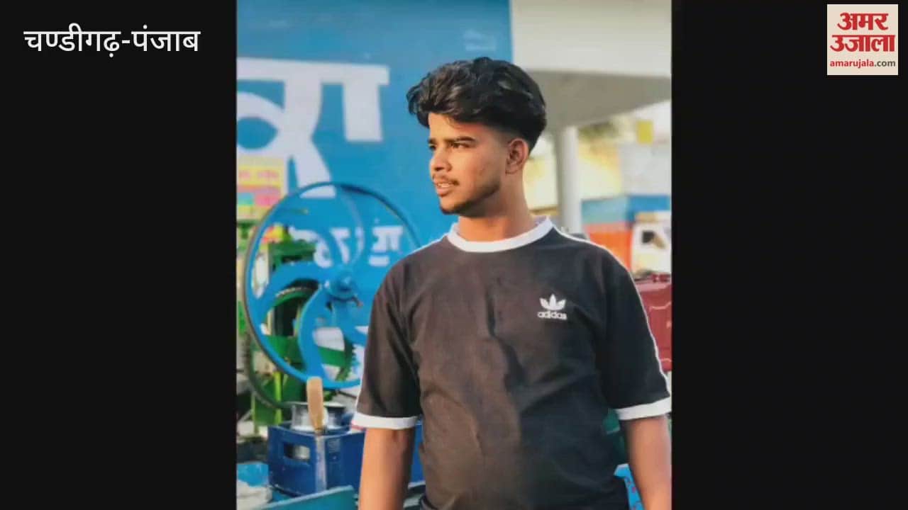 Honda City accident in Barnala youth burnt alive