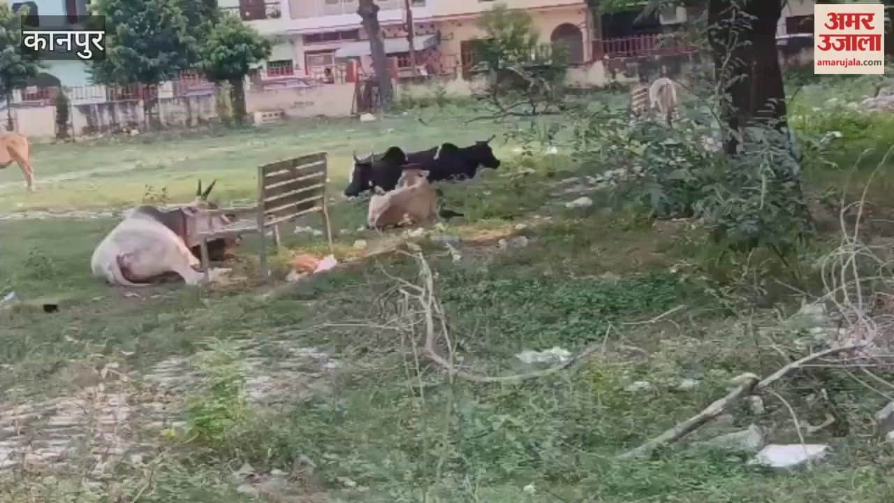 Ambedkar Park in Keshav Puram is in a bad state due to lack of maintenance