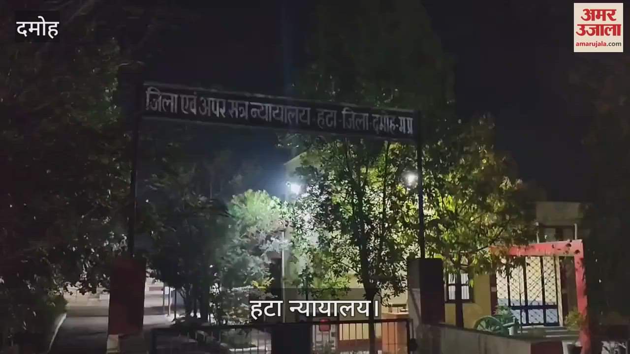 Damoh News: Husband Stabs Wife Over Her Second Marriage, Daylight Murder; Sentenced to Life Imprisonment