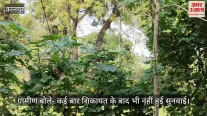 कानपुर: मुख्यमंत्री कार्यालय पहुंचा भीतरगांव में बांस-बल्ली के सहारे बिजली आपूर्ति का मामला