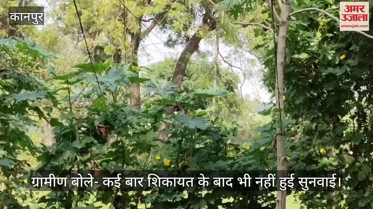 कानपुर: मुख्यमंत्री कार्यालय पहुंचा भीतरगांव में बांस-बल्ली के सहारे बिजली आपूर्ति का मामला