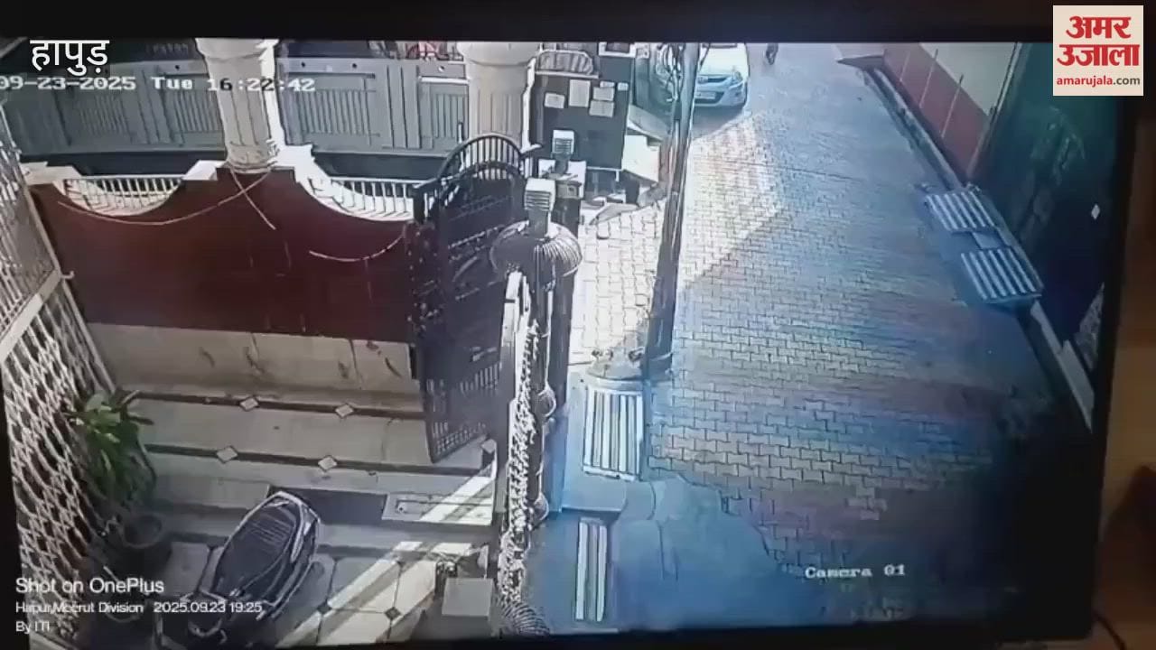 A group of monkeys attacked a family riding a scooter in Hapur