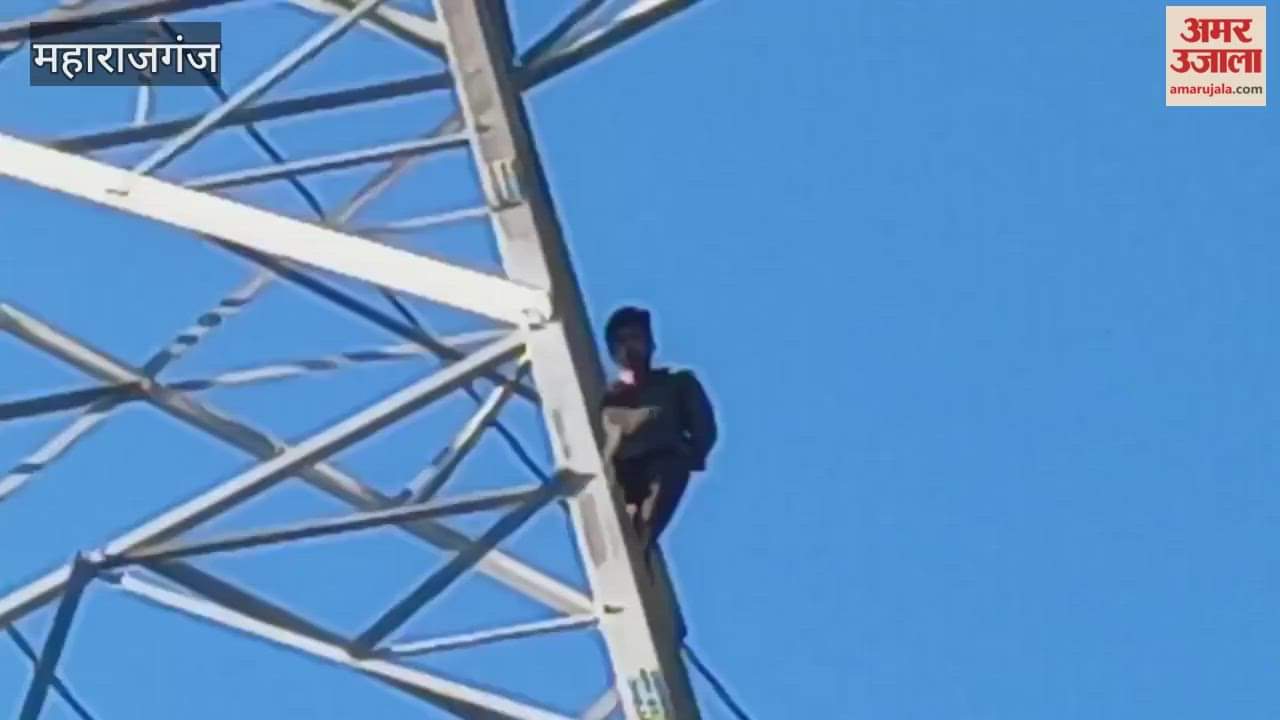 Young man climbed a high tension electric pole in Maharajganj