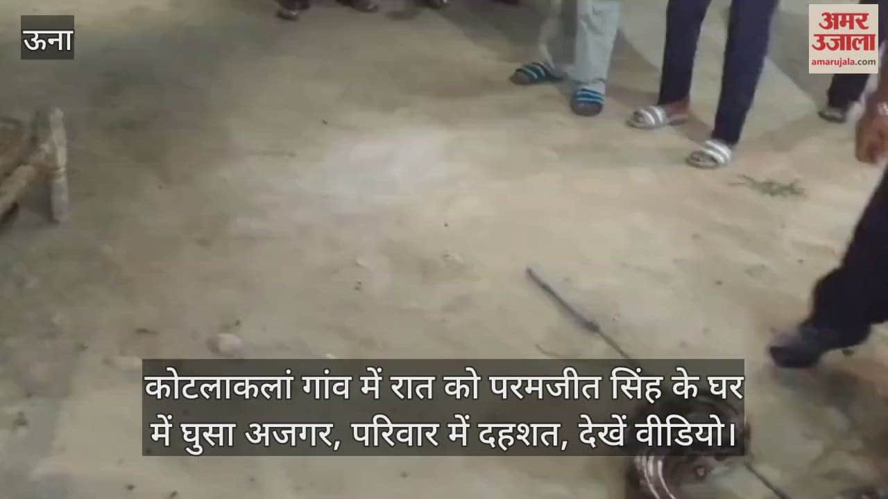 huge python entered Paramjit Singh's house in Kotlakalan village at night, causing panic in the family, watch the video.