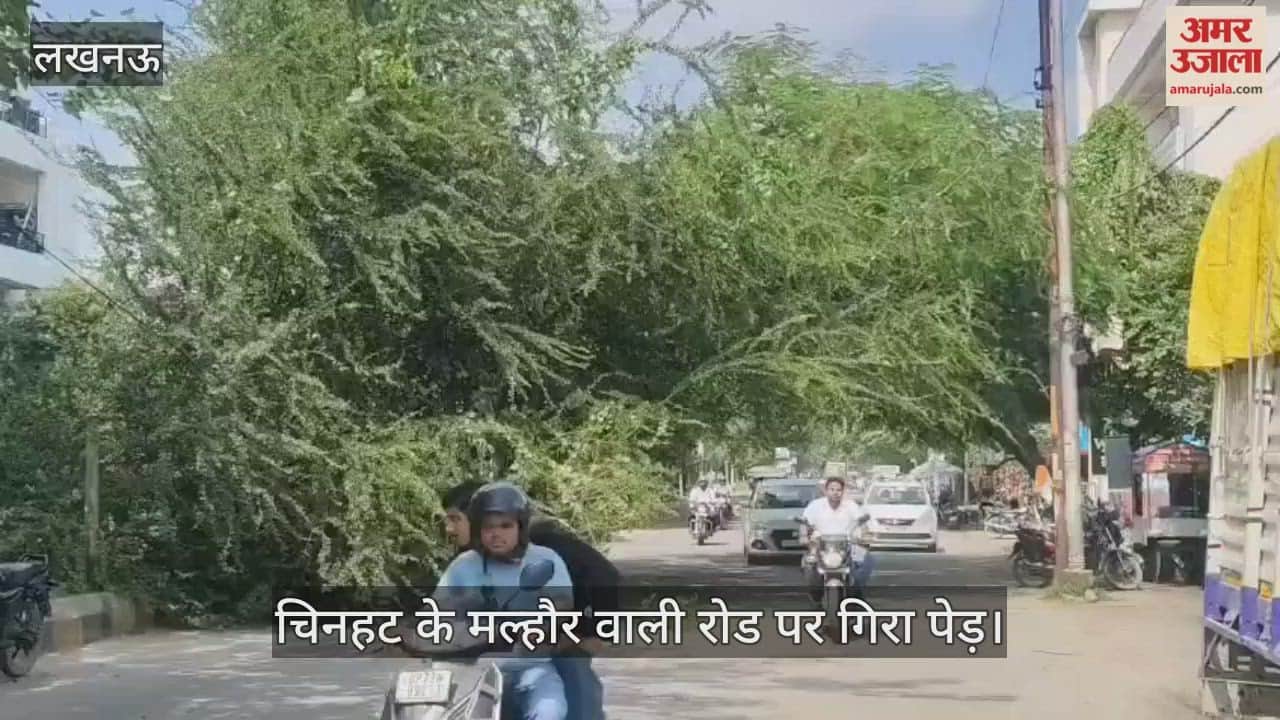 VIDEO:चिनहट के मल्हौर रोड पर गिरा पेड़... आने-जाने वालों को हो रही है दिक्कत
