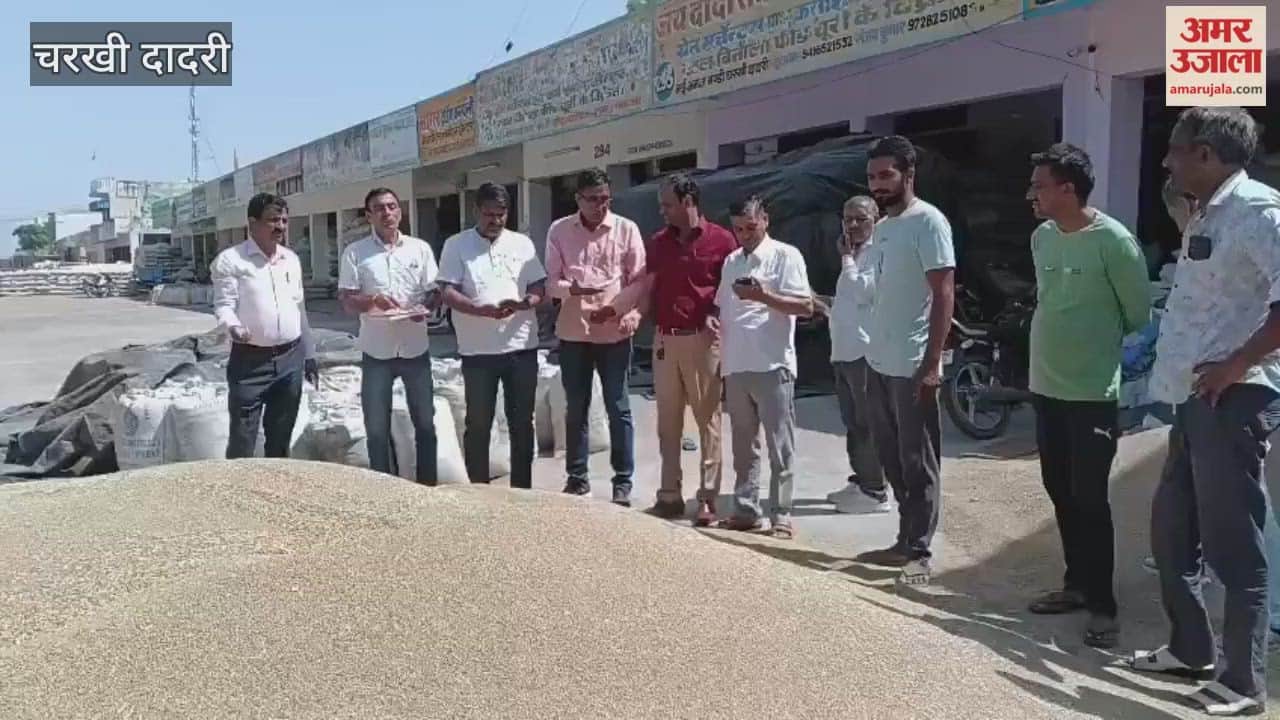 Millet procurement begins in Charkhi Dadri, bids don't go above 2300