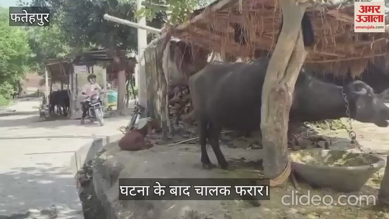 फतेहपुर में स्कूल मैजिक की चपेट में आने से दो साल मासूम की मौत घर के बाहर खेलते समय हादसा