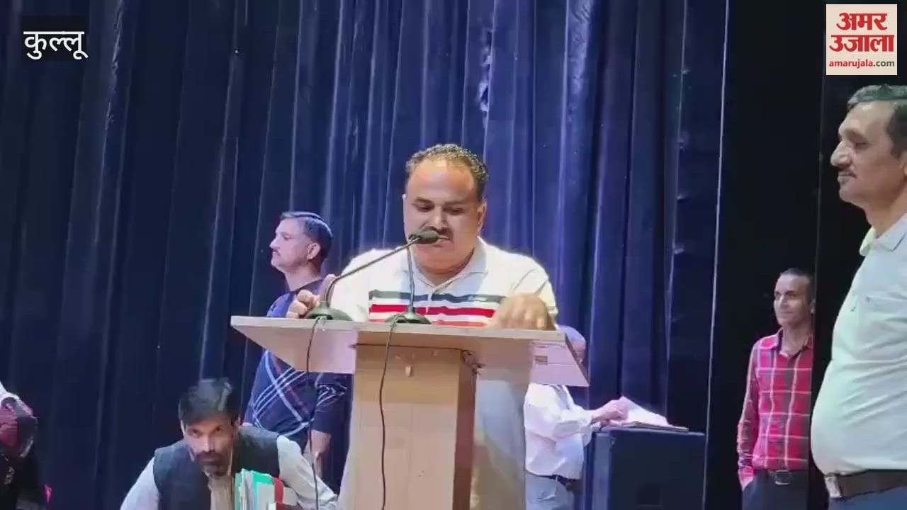 Kullu Only Himachali and local artists will get a chance in Dussehra