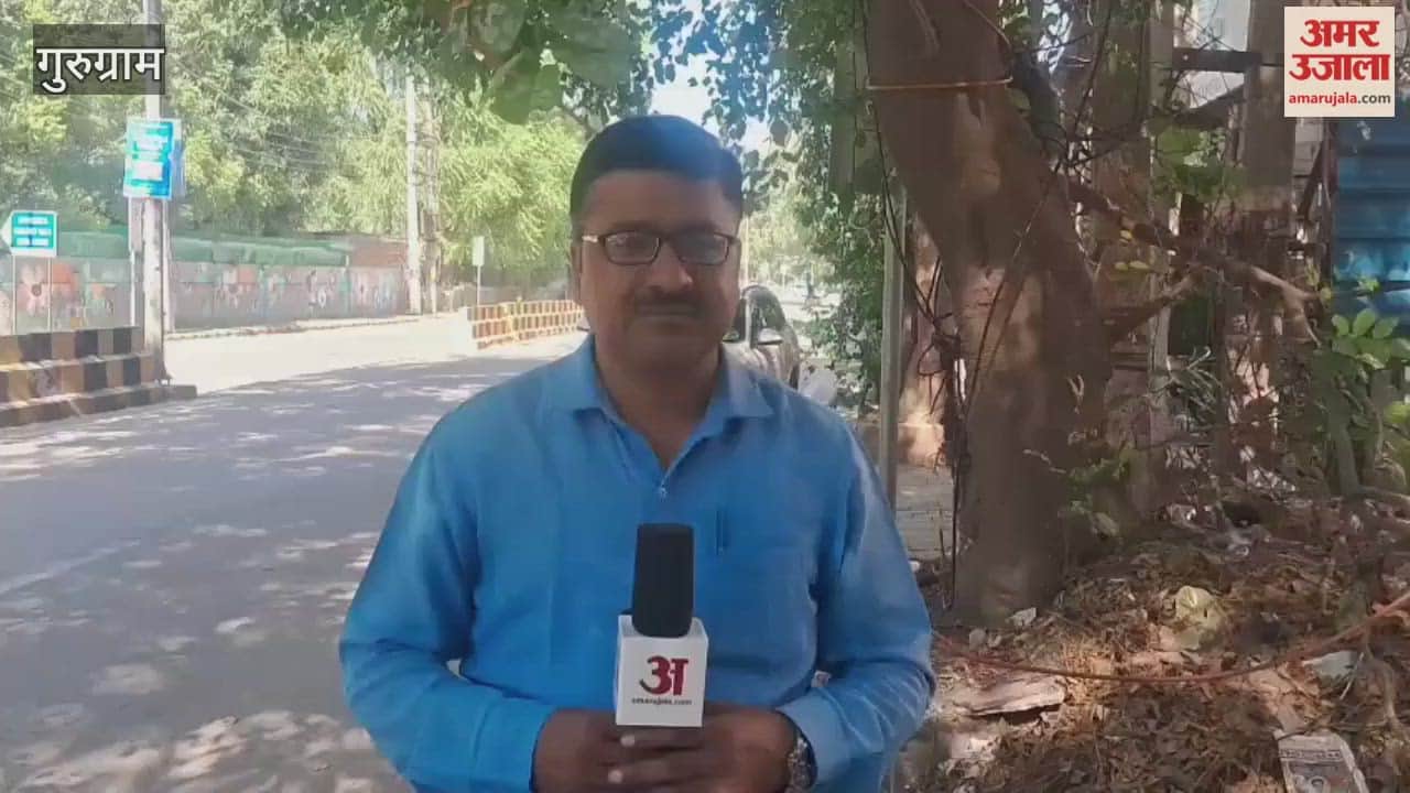 Felling of trees falling in the Metro corridor begins in Sector 44