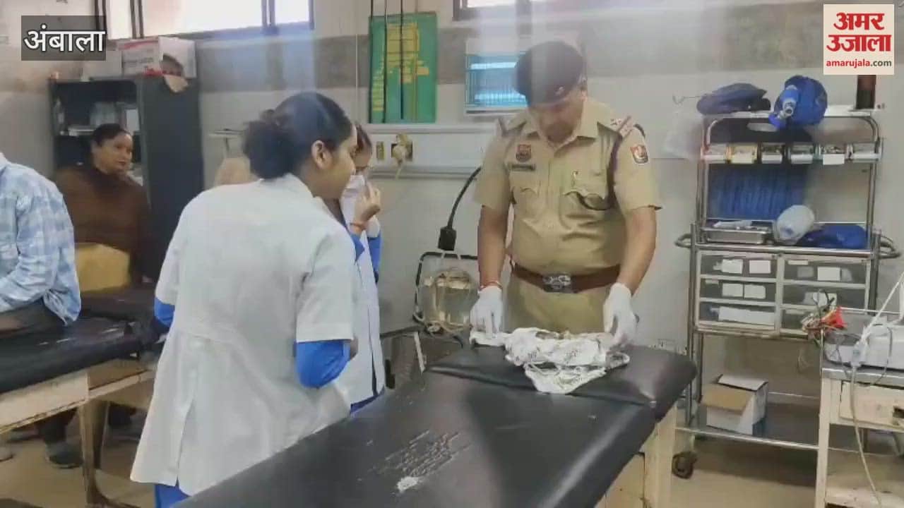 Foetus found in garbage in Ambala