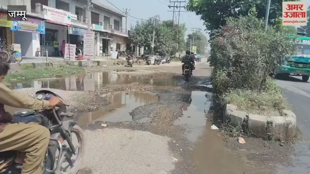 Potholes on the RS Pura-Jammu road are causing problems, leading to daily accidents.