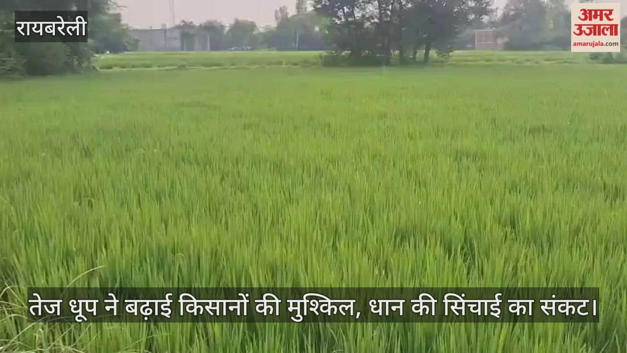 रायबरेली में तेज धूप ने बढ़ाई किसानों की मुश्किल, धान की सिंचाई का संकट
