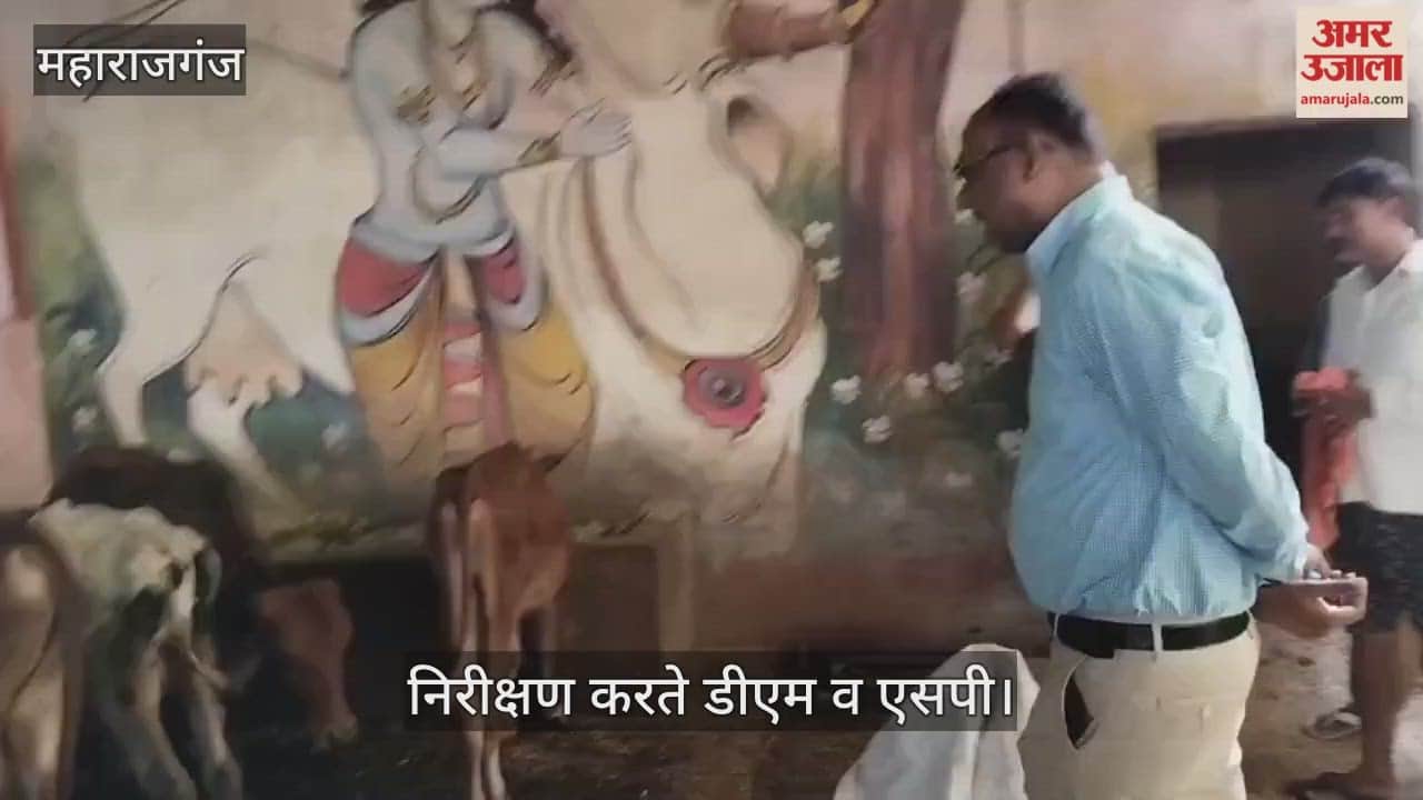 SP and DM jointly inspected and gave instructions.