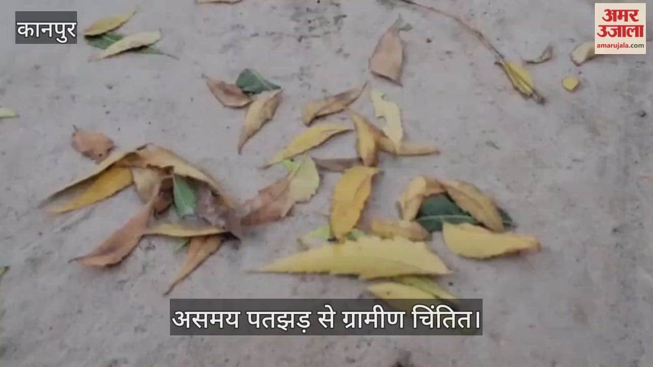 कानपुर: भीतरगांव में जलवायु परिवर्तन का असर, समय से पहले गिर रहीं पेड़ों की पत्तियां