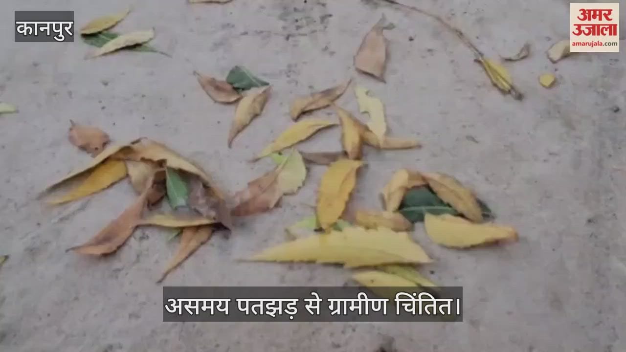 कानपुर: भीतरगांव में जलवायु परिवर्तन का असर, समय से पहले गिर रहीं पेड़ों की पत्तियां