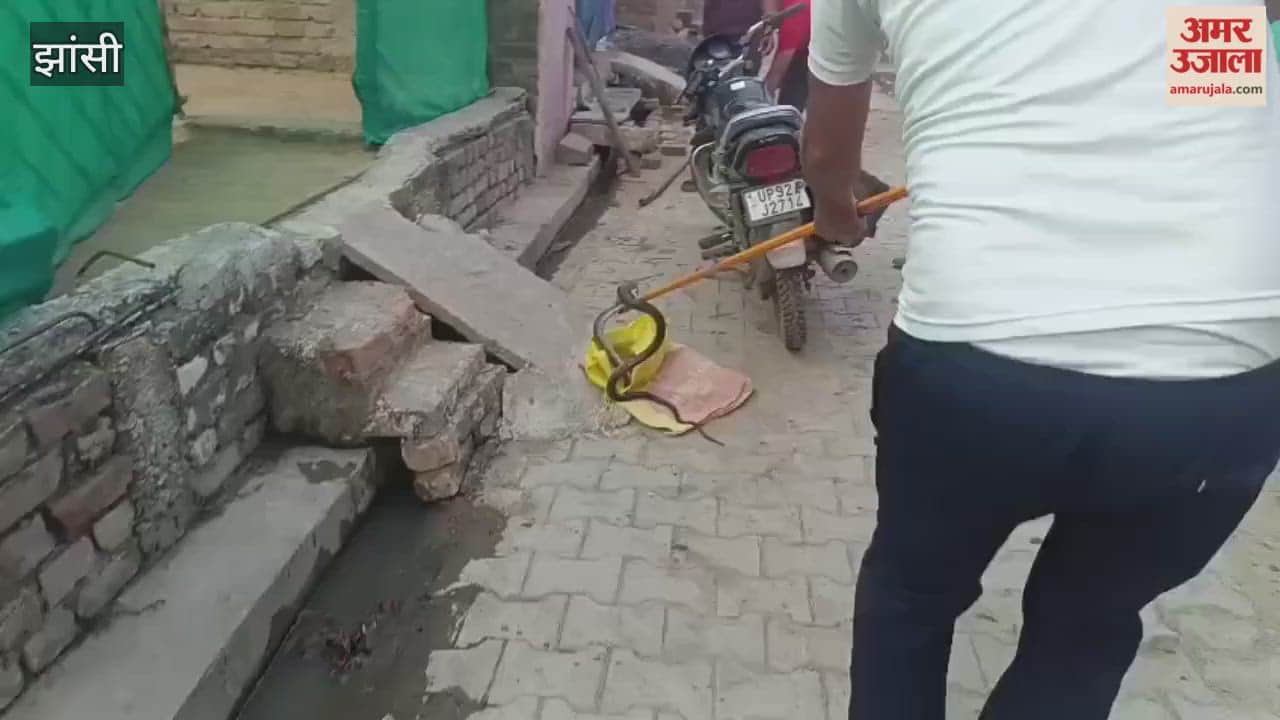 Jhansi: Forest department rescues snake