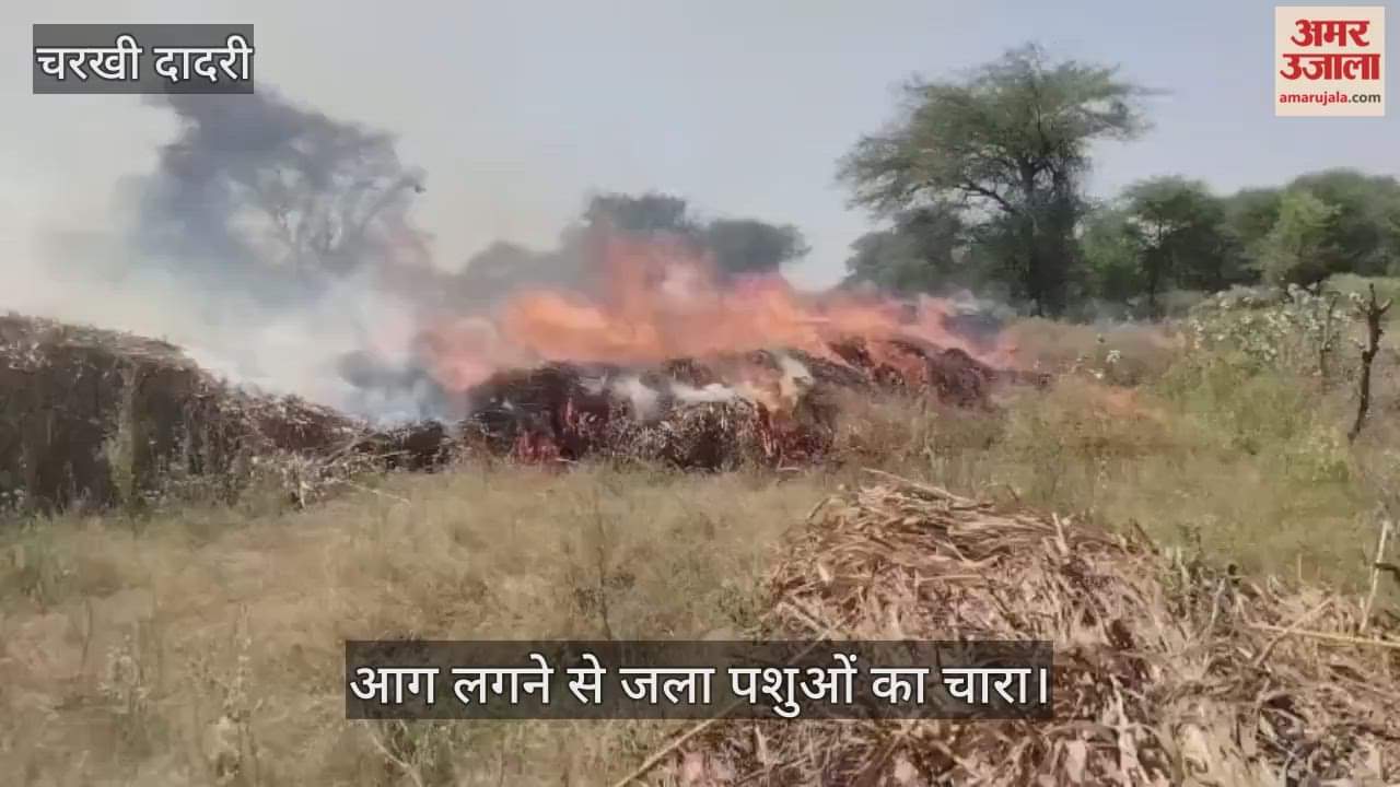 animal fodder burnt in fire