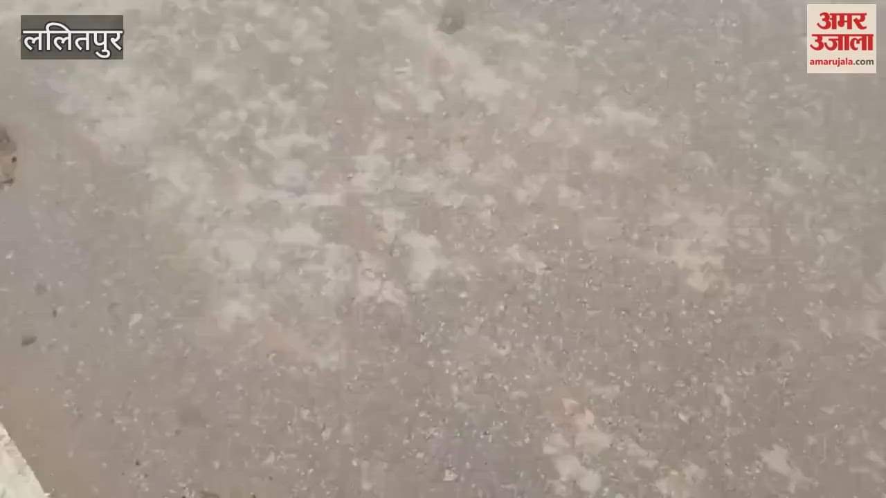 Lalitpur: 251 feet long Chunari Yatra... reached Maa Vindhyavasini Dham from Bhangarh, MP