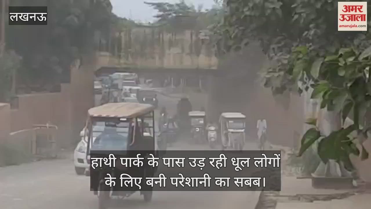 लखनऊ में हाथी पार्क के पास पुल पर चल रहा काम, उड़ रही धूल लोगों के लिए बनी परेशानी का सबब
