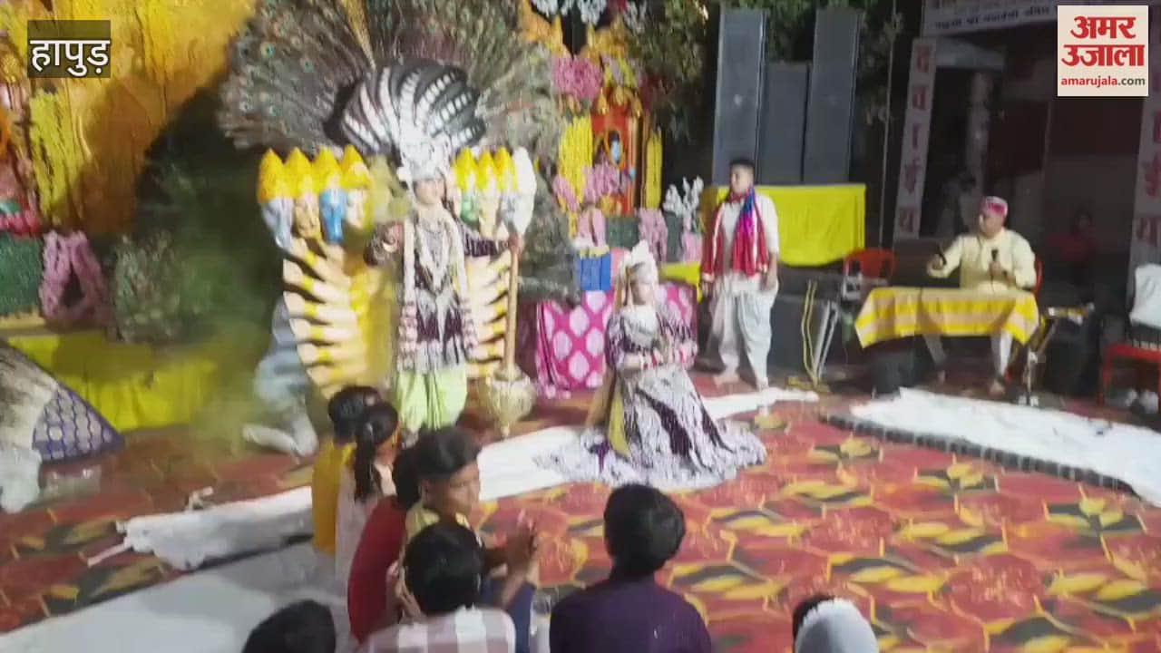 Devotees danced wildly at the awakening of Maa Bhagwati in Hapur Garh