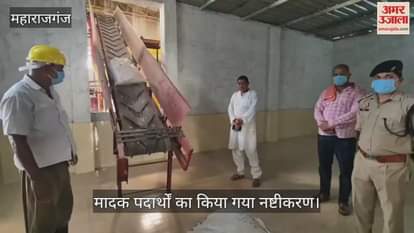 Destruction of narcotics in Maharajganj