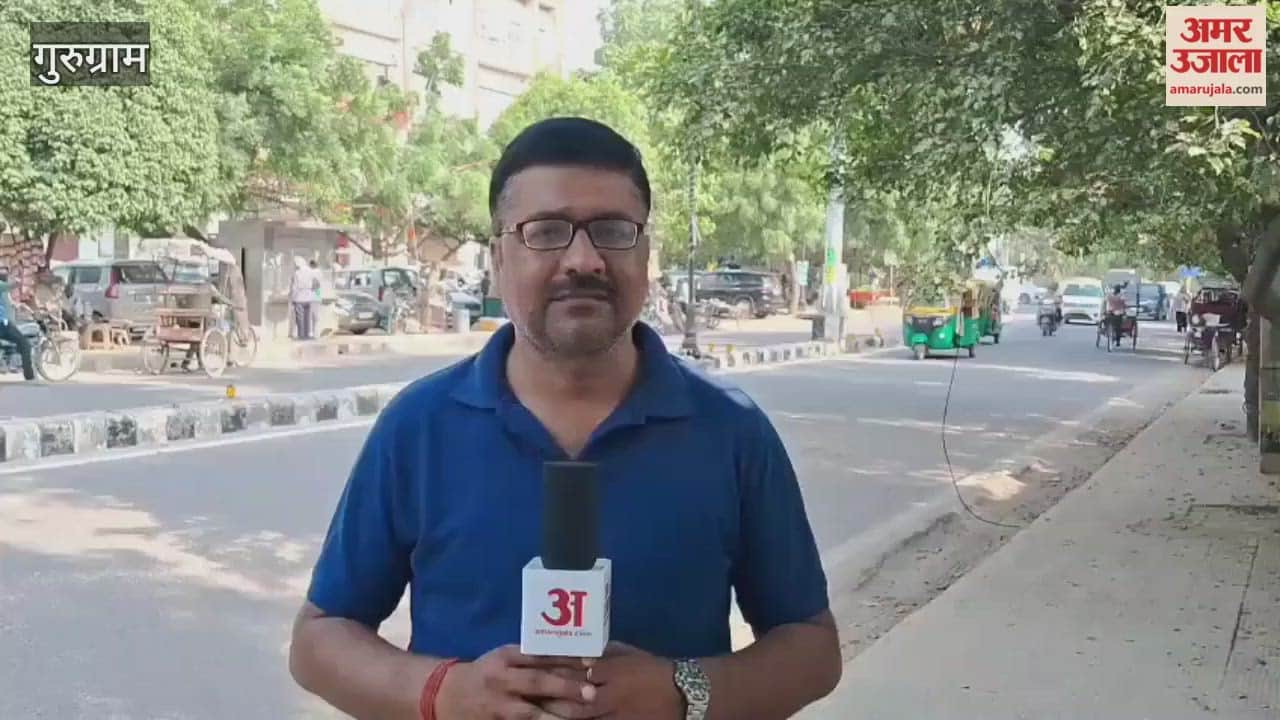 Garbage in ््drains on both sides of Delhi-Jaipur highway in Gurugram spreads filth