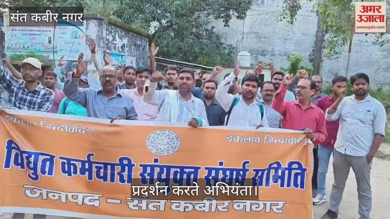 Electricity workers protested against privatization