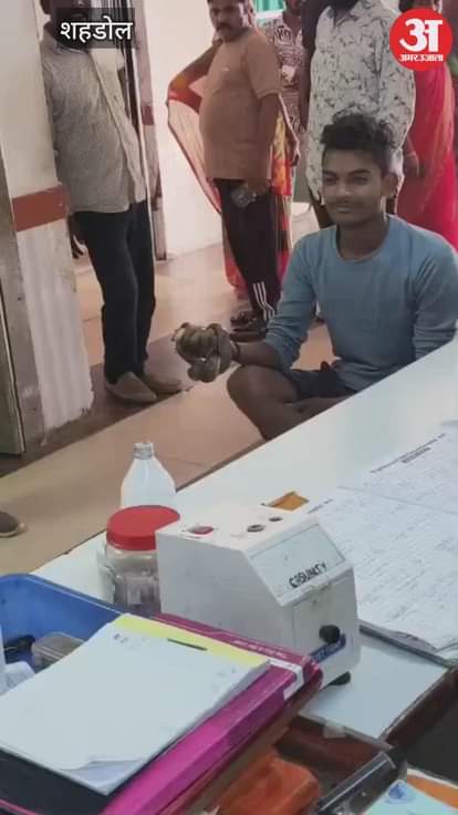 Shahdol News: The young man caught the snake that bit him and reached the hospital