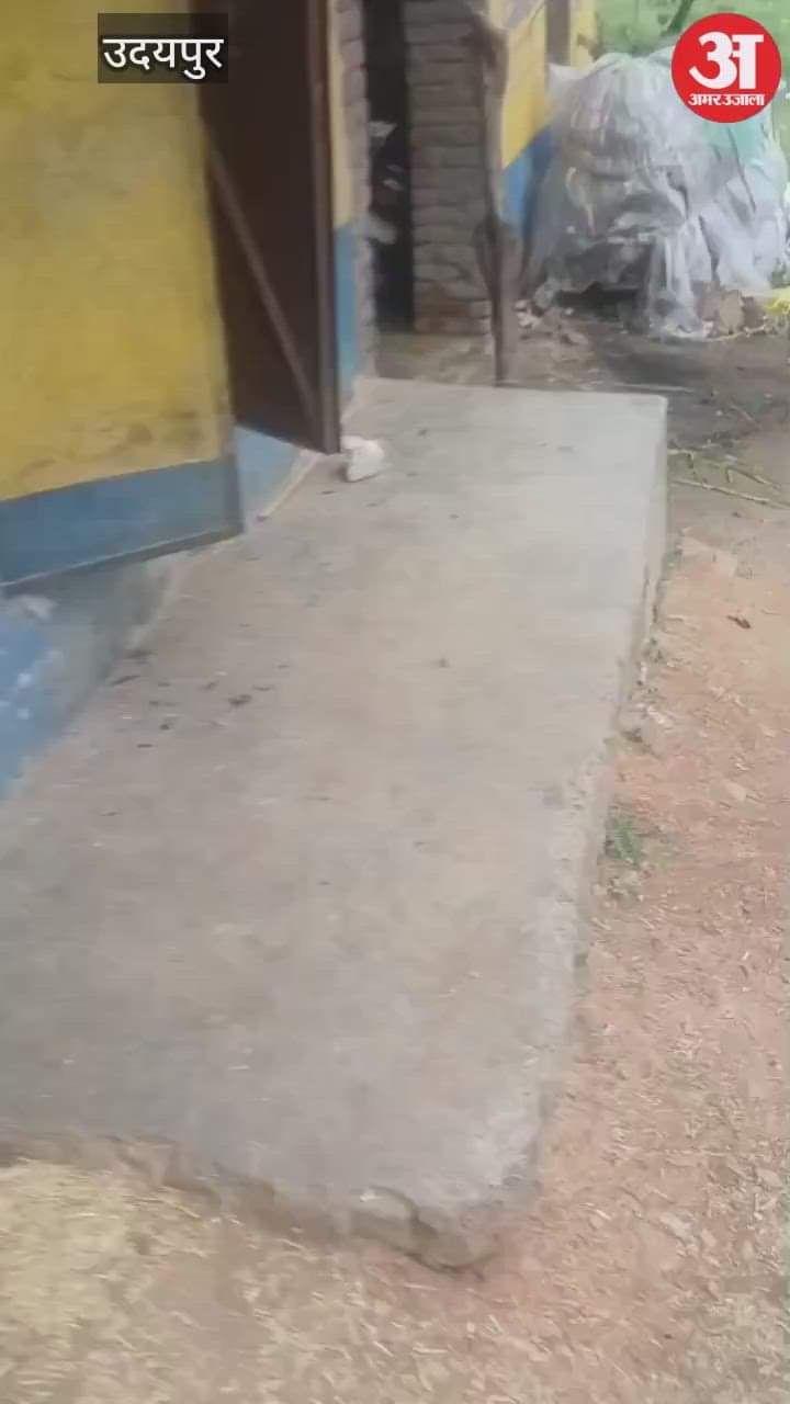 Udaipur News: Gas Cylinder Explosion During Cooking Severely Burns 4 Family Members, Sparks Panic in Village