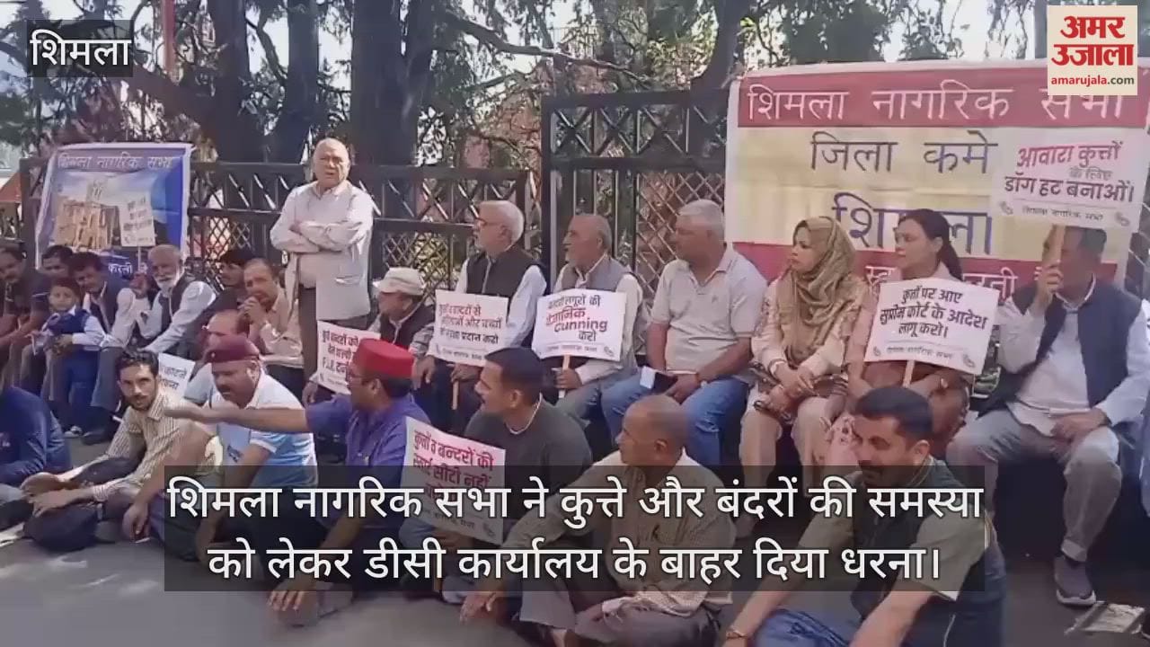 Shimla Nagarik Sabha staged a protest outside the DC office over the problem of dogs and monkeys.