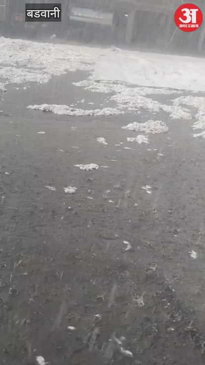 Barwani News: Unseasonal rains damage cotton crop, losses exceed 10 crore, mandi auction postponed