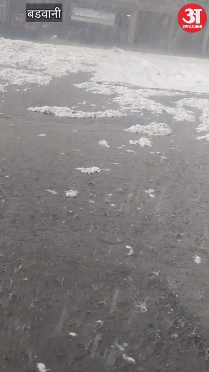 Barwani News: Unseasonal rains damage cotton crop, losses exceed 10 crore, mandi auction postponed