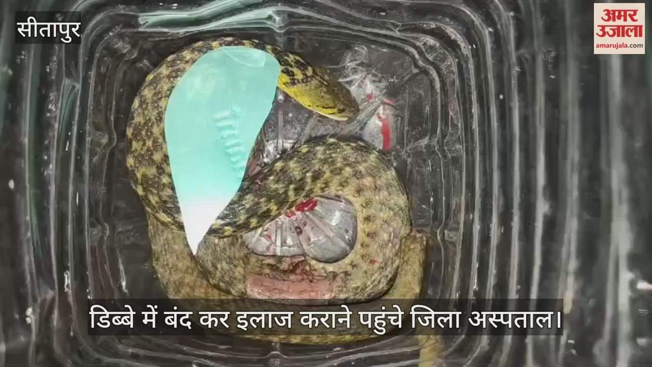 VIDEO: युवकों को सांप ने डसा तो डिब्बे में बंद कर इलाज कराने पहुंचे जिला अस्पताल