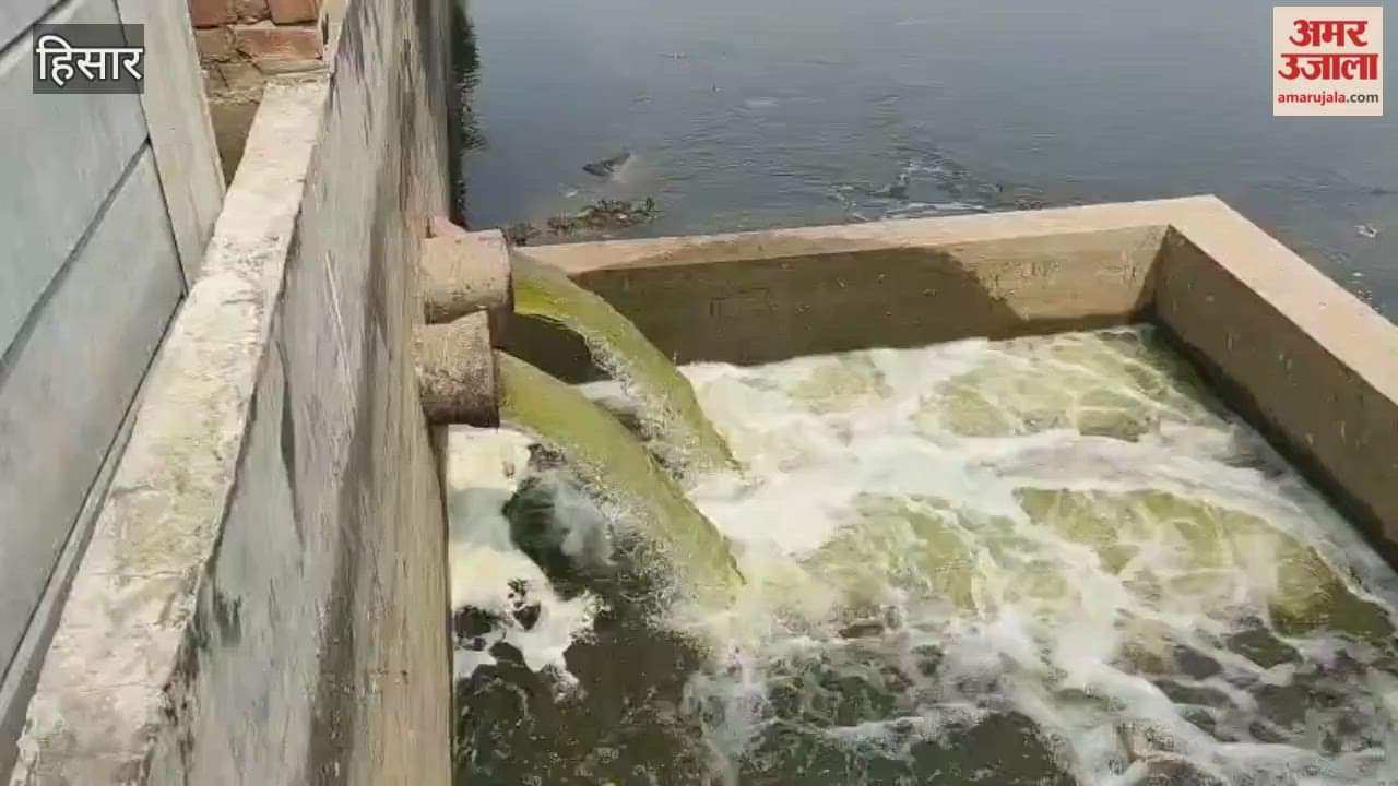 Dangerous health hazards in Hisar; contaminated water found in the water supply system on Kamri Road, and dead chickens dumped into the Balsamand canal.