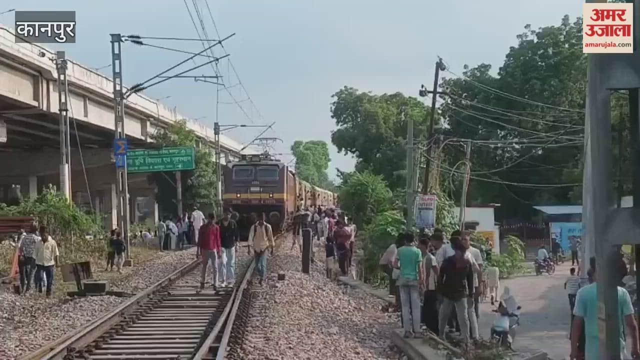 Cattle trapped in engine after express train collision, train halted for 35 minutes