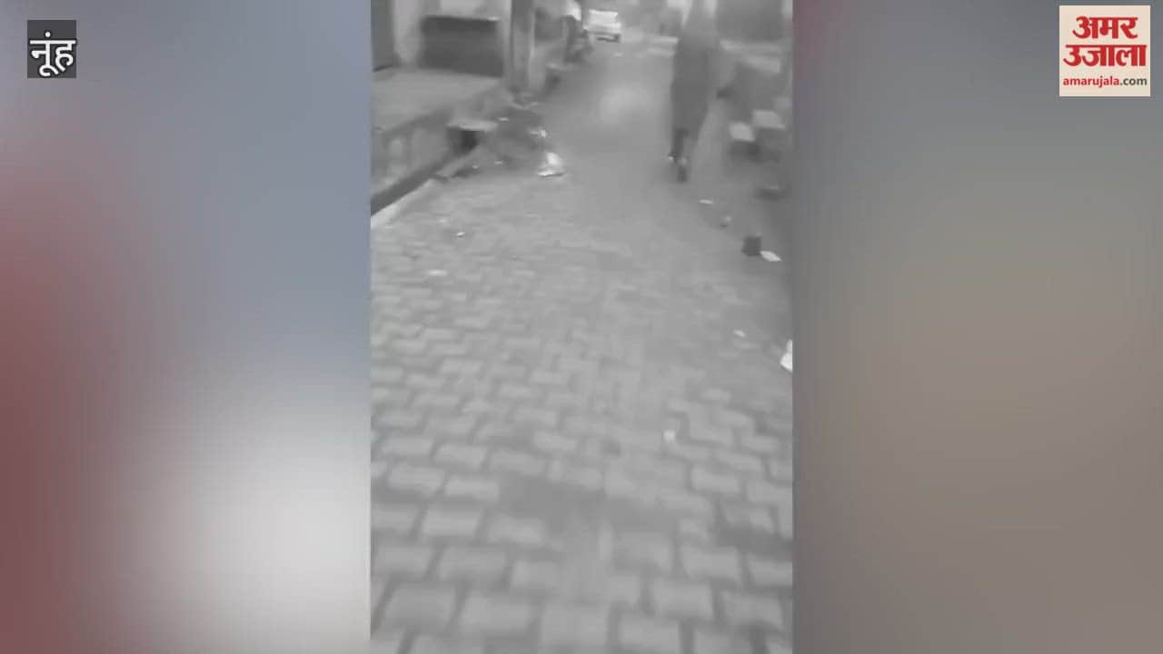 man knife stabbed into a dog chest in nagina