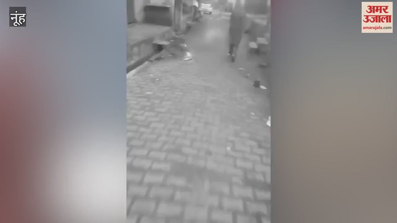 man knife stabbed into a dog chest in nagina