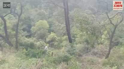 Anshika murder case Murder weapon recovered on the indication of the accused