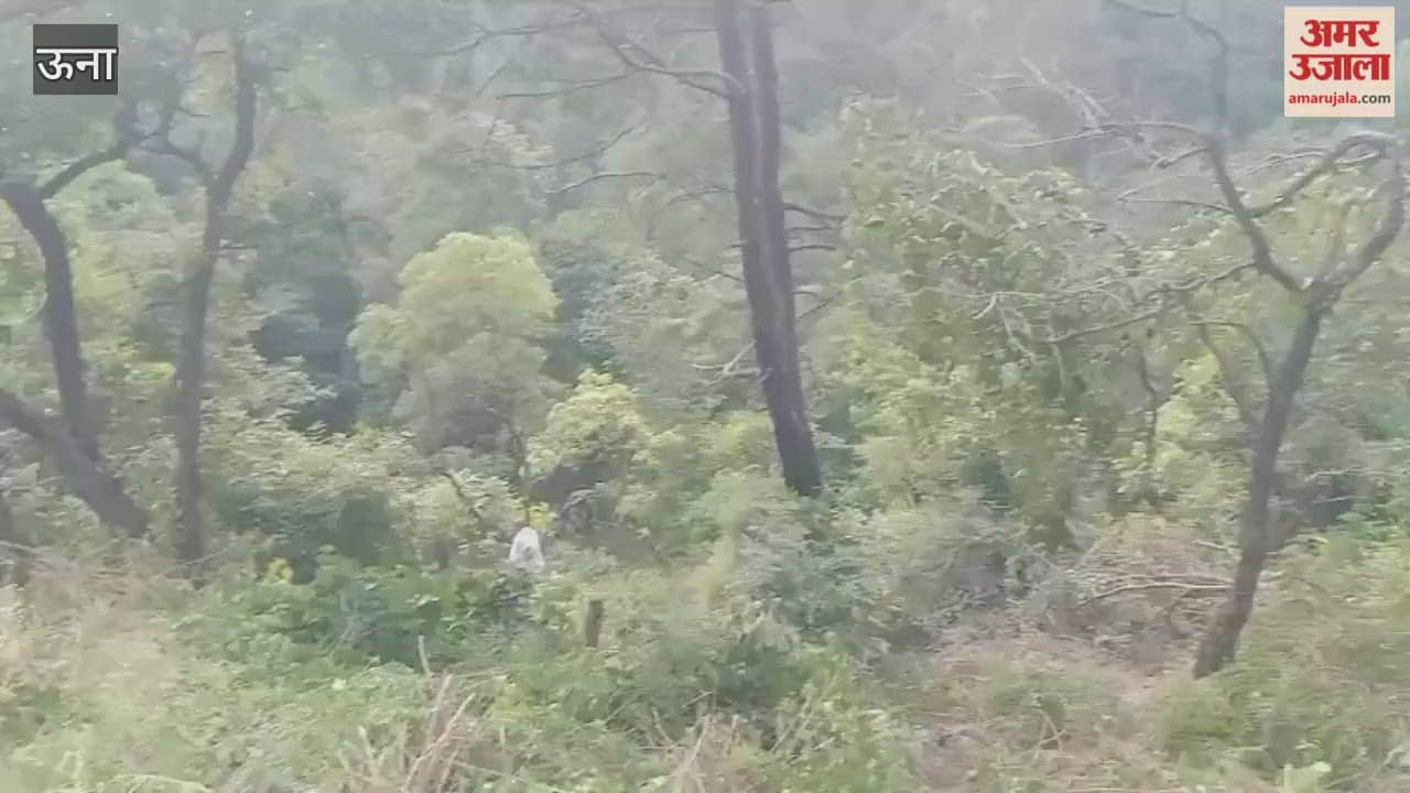 Anshika murder case Murder weapon recovered on the indication of the accused